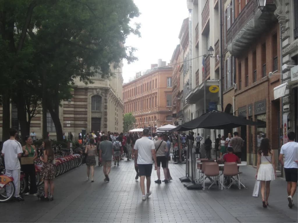 Image pour Expats in Toulouse